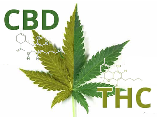 THC CBD