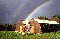  (trans.: giant rainbow phallus mushroom) 